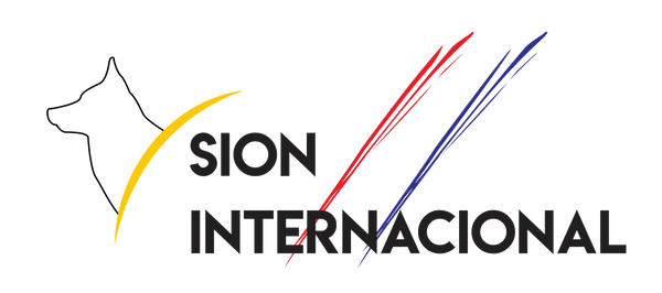 Sion Internacional